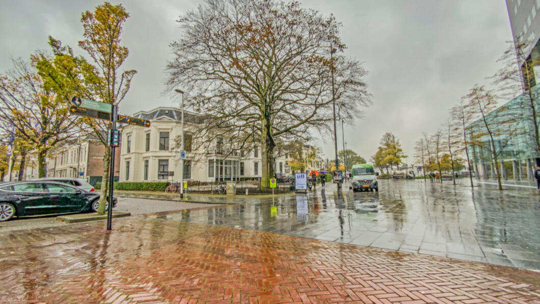 Monumentale bomen Leeuwarden