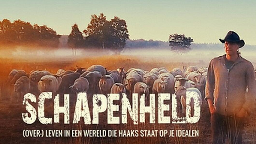 Schapenheld 3.jpg