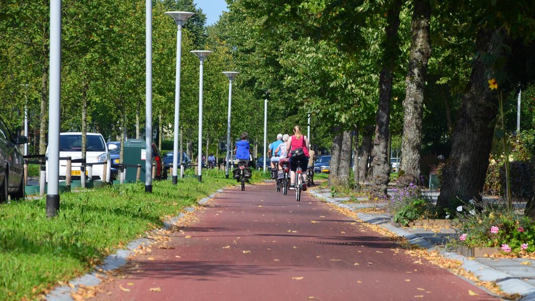 fietsen in Leeuwarden.JPG