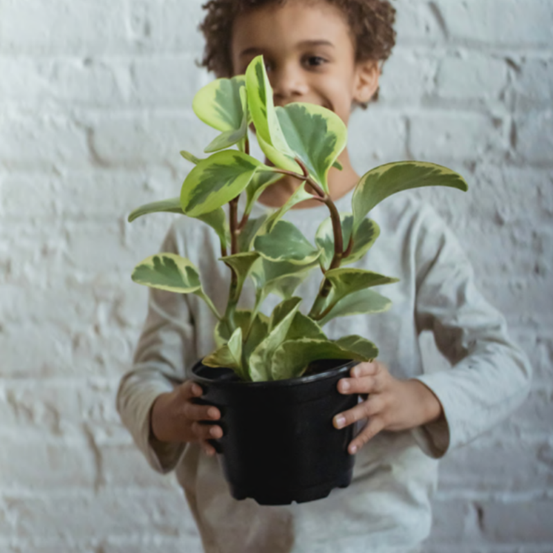 Foto van een kind die een plant vasthoudt