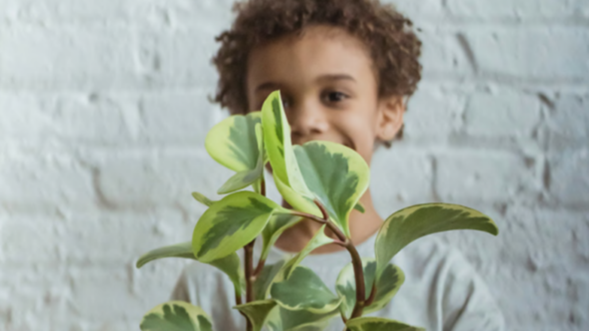 Foto van een kind die een plant vasthoudt