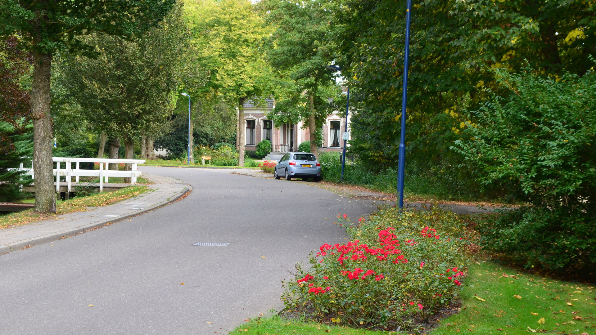 Foto van een straat in de gemeente Leeuwarden met openbaar groen