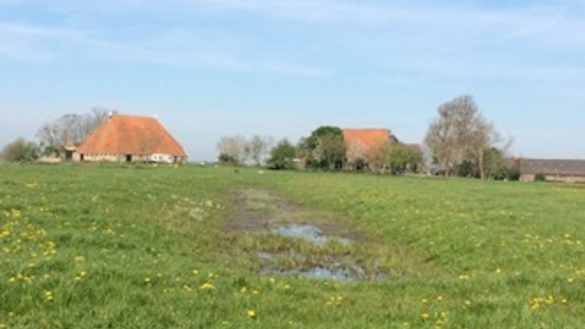 Foto van het prachtige Friese platteland